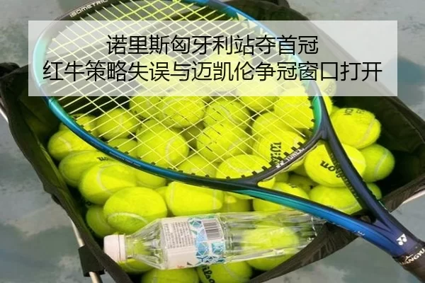 nuo-li-si-xiong-ya-li-zhan-duo-shou-guan-hong-niu-ce-lve-shi-wu-yu-mai-kai-lun-zheng-guan-chuang-kou-da-kai-1-984.jpg